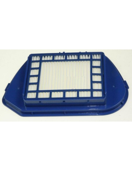 Filtro HEPA Rowenta RS-RT900097