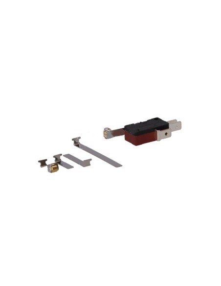 Microinterruptor 2 posiciones kit palancas