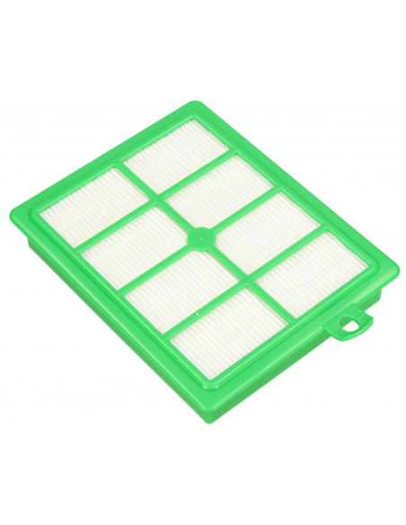 Filtro HEPA aspirador AEG