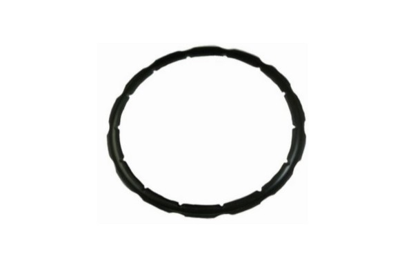 Junta olla Tefal clipso 8 - 10 litros 25,3 cm.