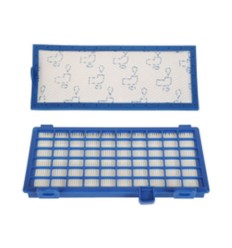 Filtro HEPA Rowenta RO6235EA