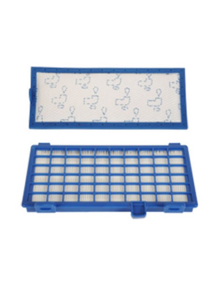 Filtro HEPA Rowenta RO6235EA