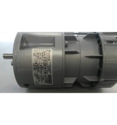 Motor agitador Sirem r1C225M2BC30-36Tr/min