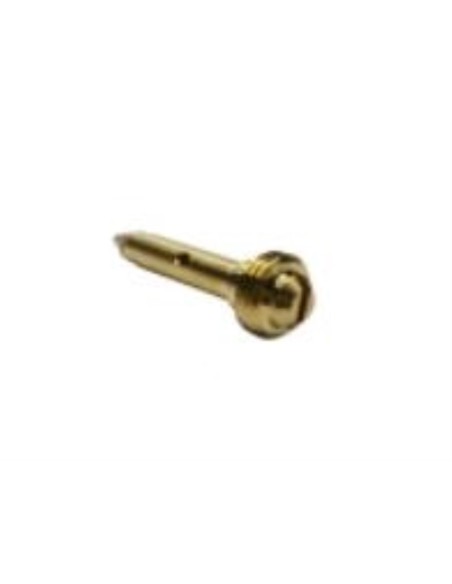 Inyector piloto 0,20 GLP