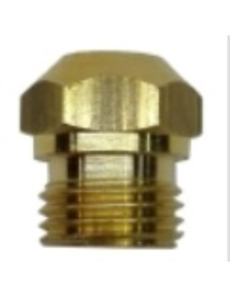 Inyector M10x1 d:1,60