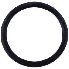 O-ring (ord.min.pz.1) 990489