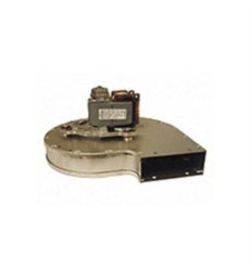 Extractor rl148/12 a1. 22v, 37-43w Beretta idrabag
