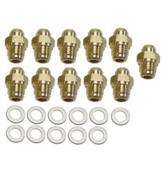 Inyectores d1.35 G20 (11 uds)