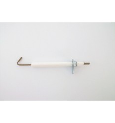 Electrodo deteccion n-e