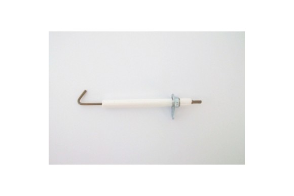 Electrodo deteccion n-e