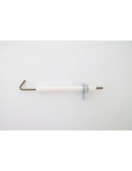 Electrodo deteccion n-e