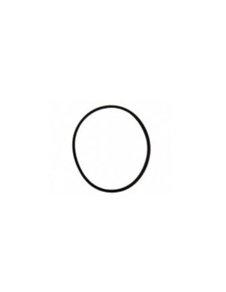 O-Ring d.227.9x6.99 sellado brida Quemador MB-S