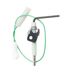 Electrodo de ionizacion ZWN