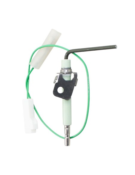 Electrodo de ionizacion ZWN