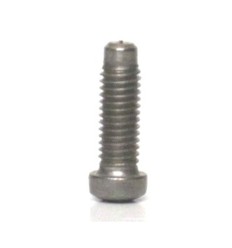 Tornillo 87034011650