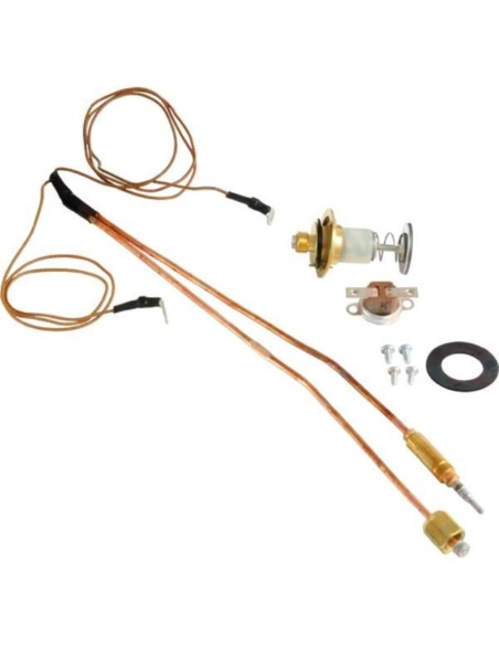 Termopar con magnetica y klixon 12°Cgl 5 am