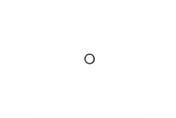 O-ring d.13.1x2.62 ep851 format bf technyl. format
