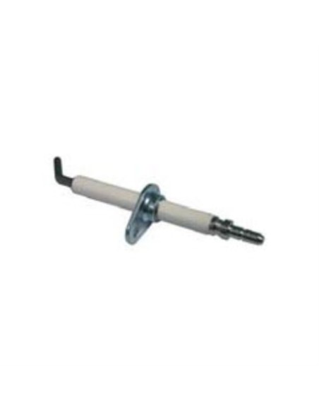 Kit electrodo de ionizacion pil.int. bimax, elettr