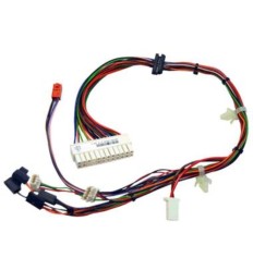 Conjunto de cables valvula gas 