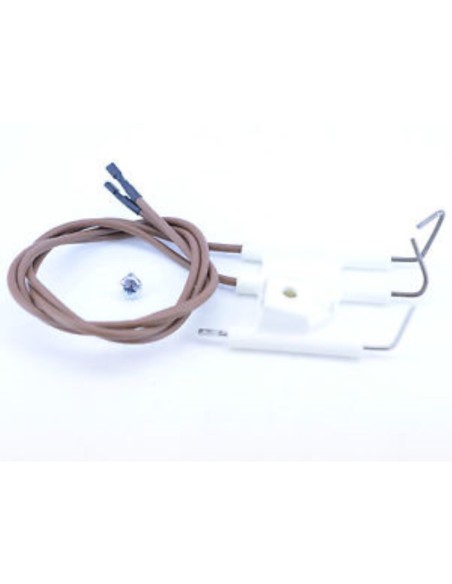 Electrodos de encendido