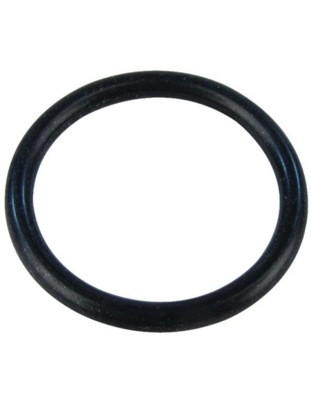 Kit juntas o ring (1) 981158