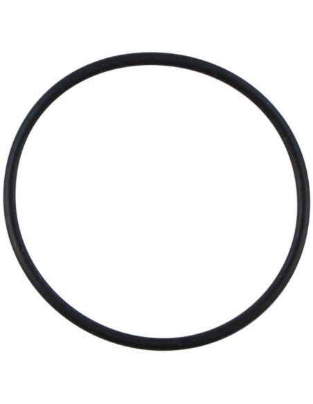 O-ring d.17.12x2.62 varios modelos