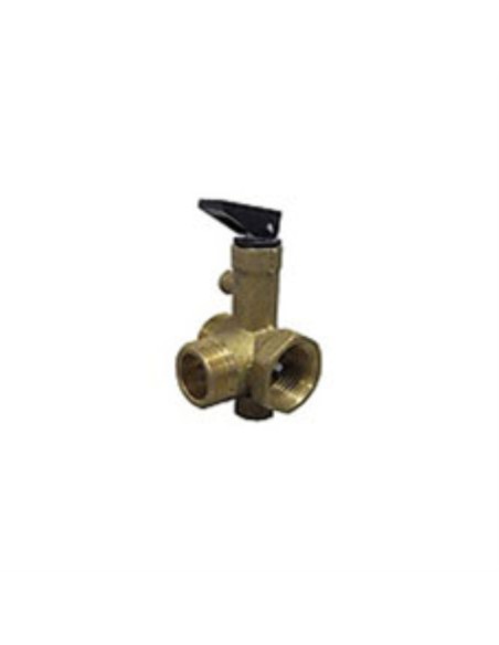 Valvula antirretorno 10021901