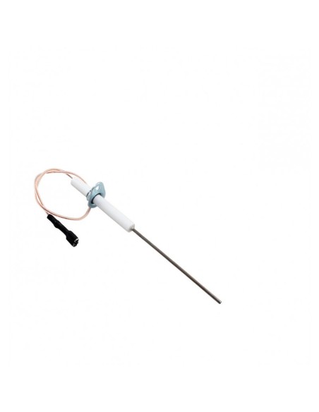 Sonda ionizacion con cable G100