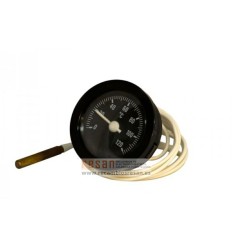 Termometro imit negro