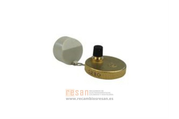 Tapon + junta o-ring bomba circuladora *VER P.3500
