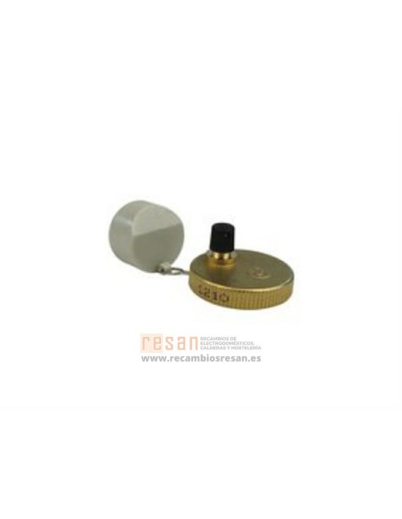 Tapon + junta o-ring bomba circuladora *VER P.3500