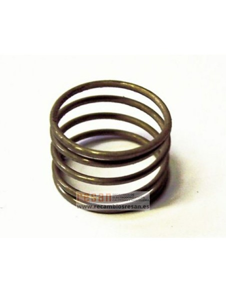 Muelle pulsador 999595