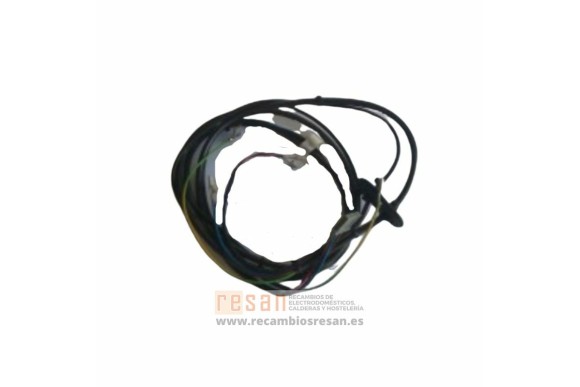 Cableado electrico combustion r10020616