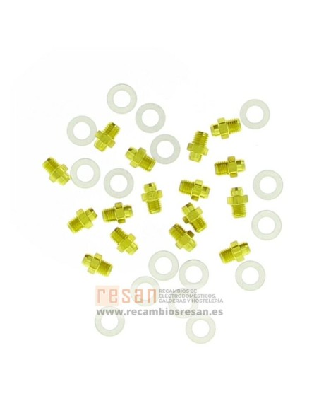 Inyectores G20 (16 uds x 1.25 m/m)