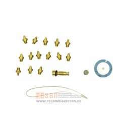 Kit de conversion de gas 21.23 a 31 - 77101490190