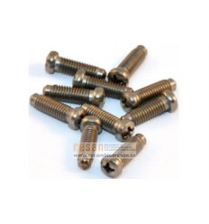 Tornillo (10x) 87034010510