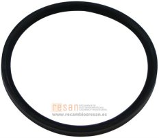 Junta 100mm x 8mm 87161116730
