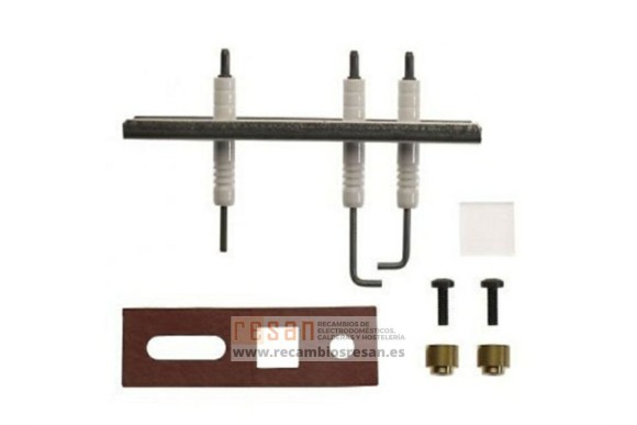 Conjunto electrodo 87181070780