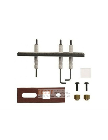 Conjunto electrodo 87181070780