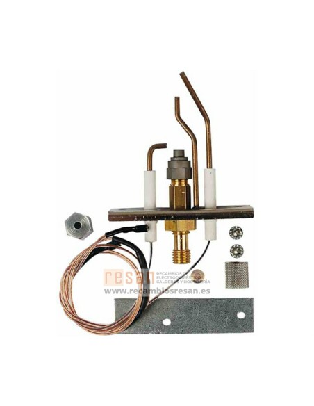 Electrodo de ionizacion 87290108560