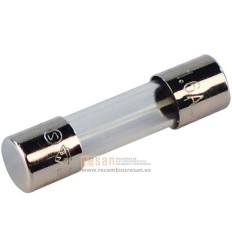 Fusible t1.6a (10x)