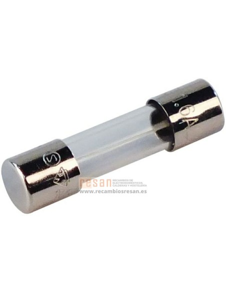Fusible t1.6a (10x)