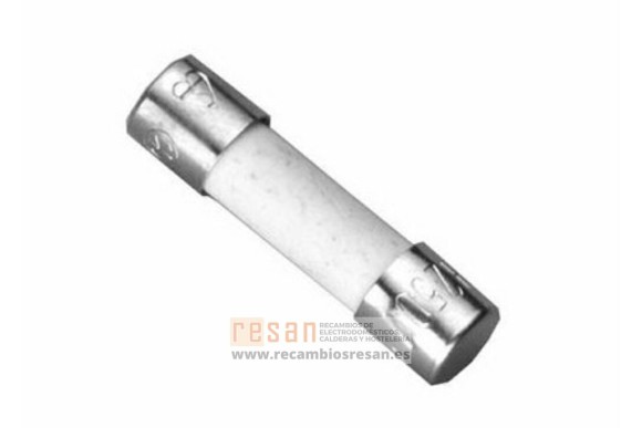 Fusible t2,5a (10x)