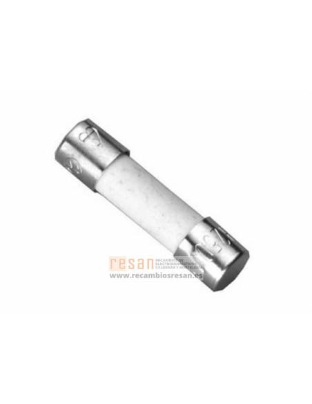 Fusible t2,5a (10x)