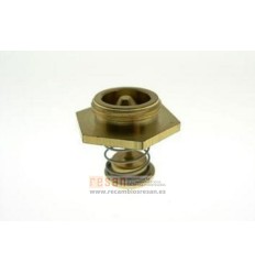 Regulador agua mtd 810000412