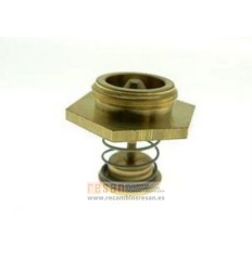 Regulador agua mtd 810000618