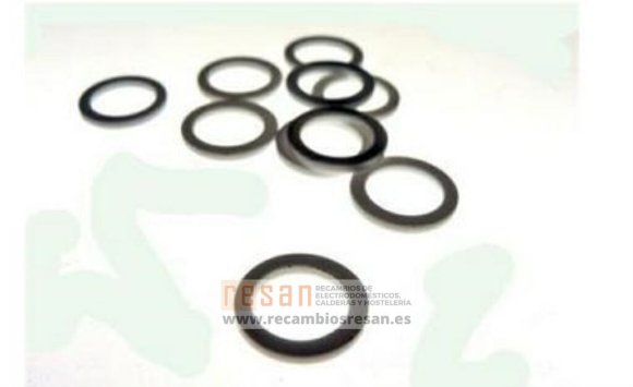 Arandela plastico CA1537100