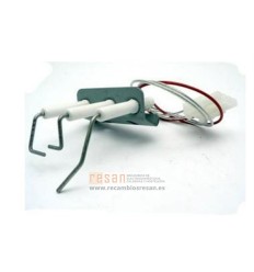Conjunto electrodos 810006302 *  (ver 810006484)
