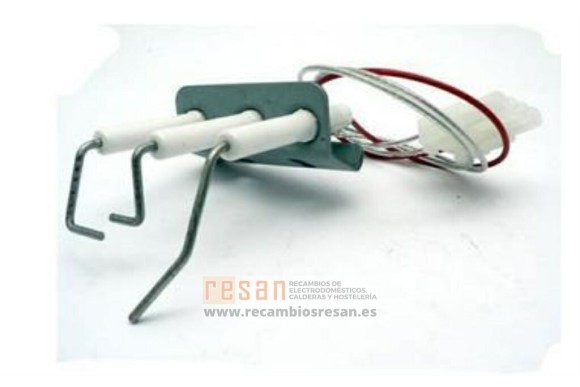 Conjunto electrodos 810006302 *  (ver 810006484)