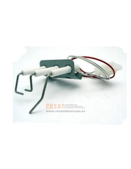 Conjunto electrodos 810006302 *  (ver 810006484)